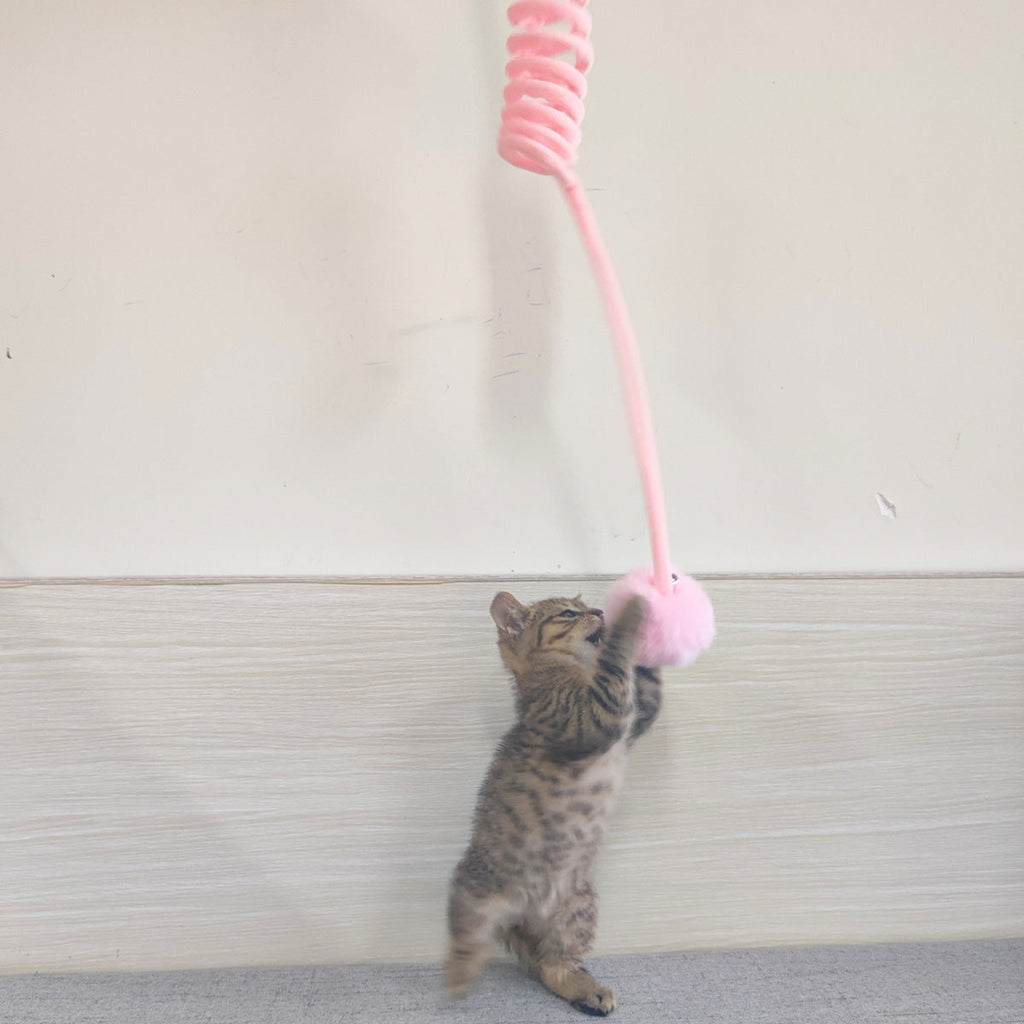 Juguete Interactivo para Gatos – Resorte con Ventosa y Pelota de Pelo