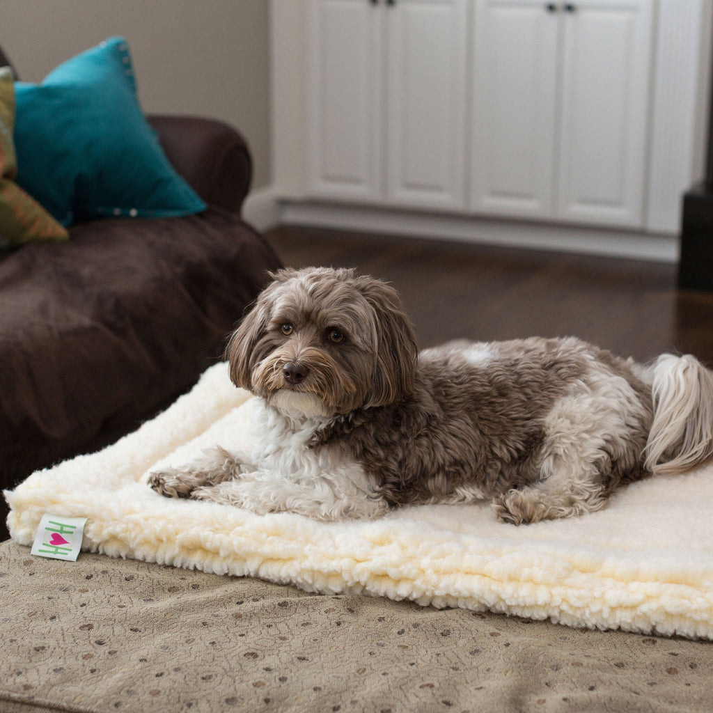 HuggleFleece® Cama Premium para Perros y Gatos – Suave, Cálida y Duradera