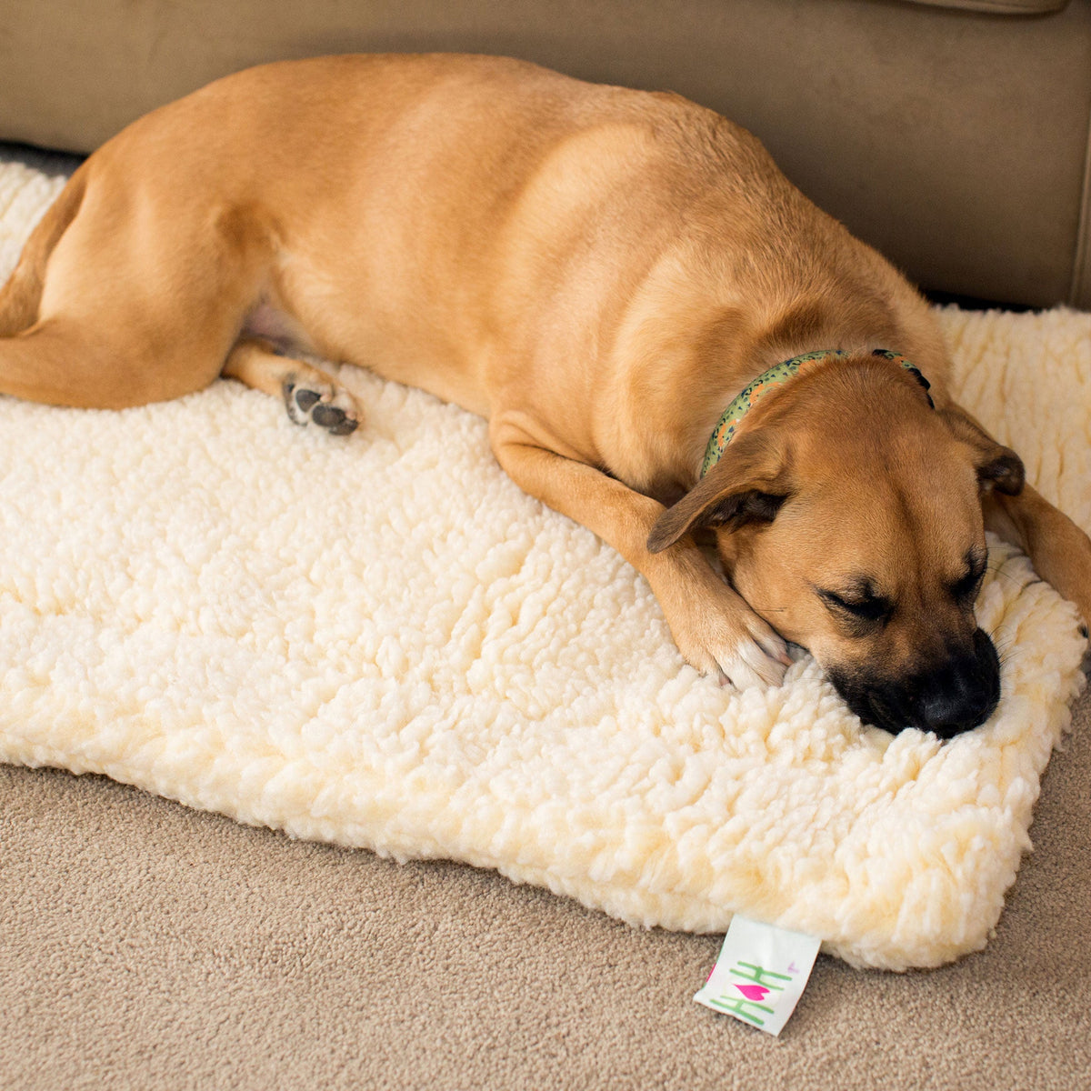 HuggleFleece® Cama Premium para Perros y Gatos – Suave, Cálida y Duradera