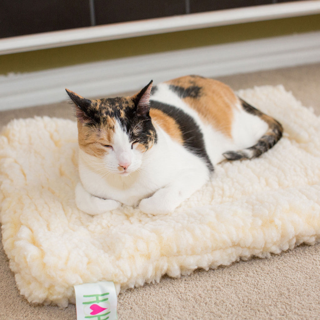 HuggleFleece® Cama Premium para Perros y Gatos – Suave, Cálida y Duradera