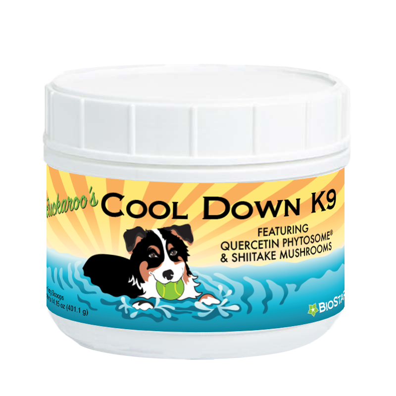 Buckaroo's Cool Down K9 – Fórmula Refrescante Ayurvédica para Perros
