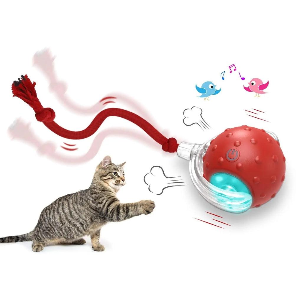 Pelota Interactiva para Gatos – 3 Modos, Sonido de Pájaros y Auto Apagado